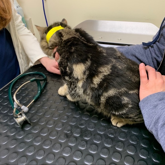 Meet your Posher, Shannon - Picture 9 of 11